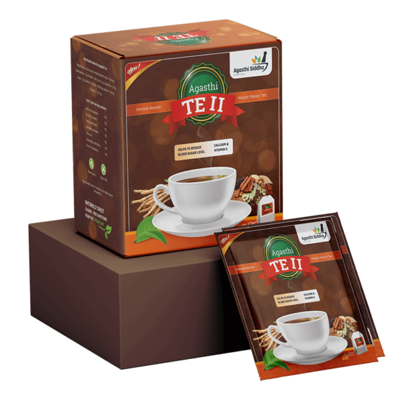 Agasti Gymnema Dia TE - Masala Flavour Tea Bag